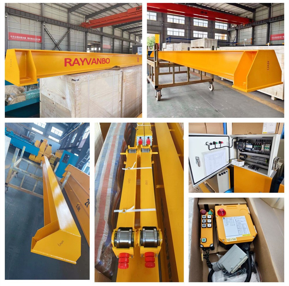 Bridge crane-rayvanbo9 Bridge crane-rayvanbo9